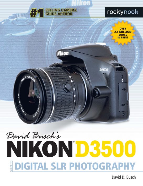 David Busch's Guide to Nikon D3500