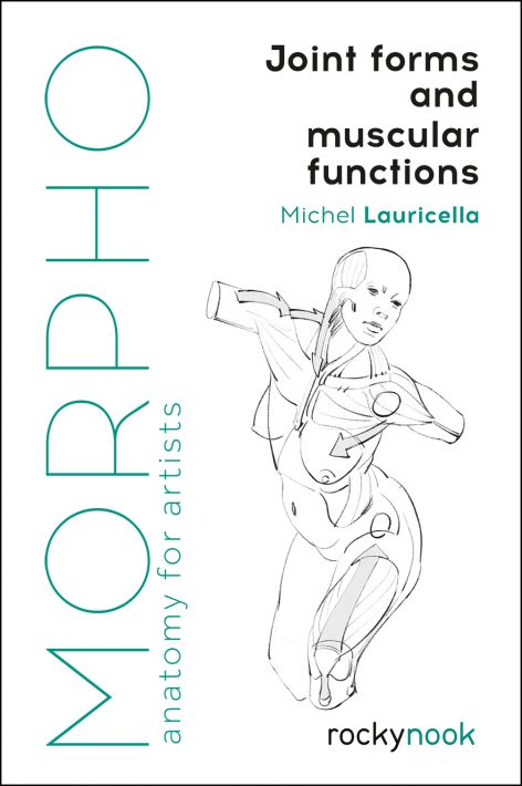 MORPHO: Joint Forms and Muscular Functions